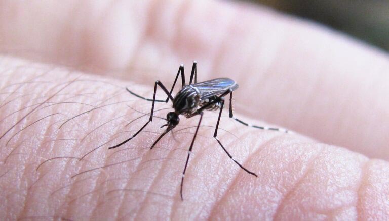 campana-de-vacunacion-contra-el-dengue