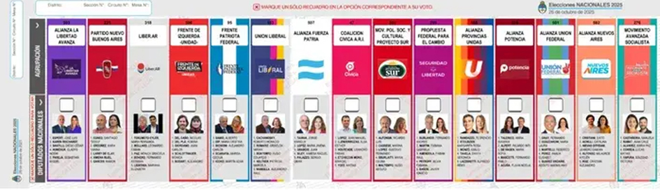 sumados,-el-voto-nulo-y-el-blanco-terminaron-en-cuarto-lugar-en-la-provincia