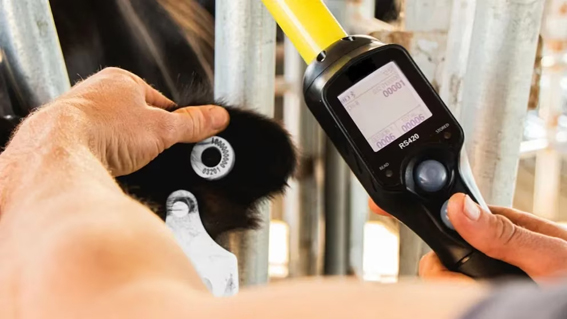 a-partir-de-2026,-regira-en-argentina-el-nuevo-sistema-de-identificacion-electronica-de-animales