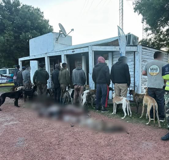 demoran-a-10-cazadores-furtivos-en-un-campo-de-pila