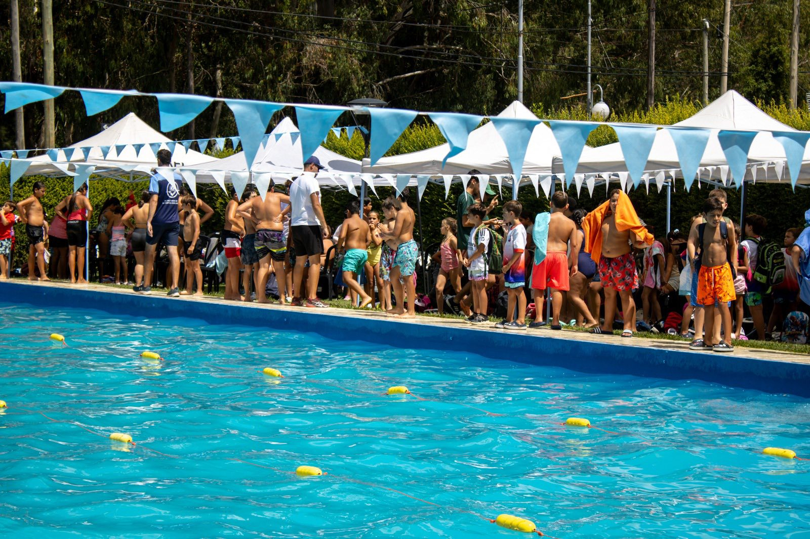 las-colonias-de-la-ciudad-participaron-de-un-encuentro-de-natacion-en-el-polideportivo-municipal