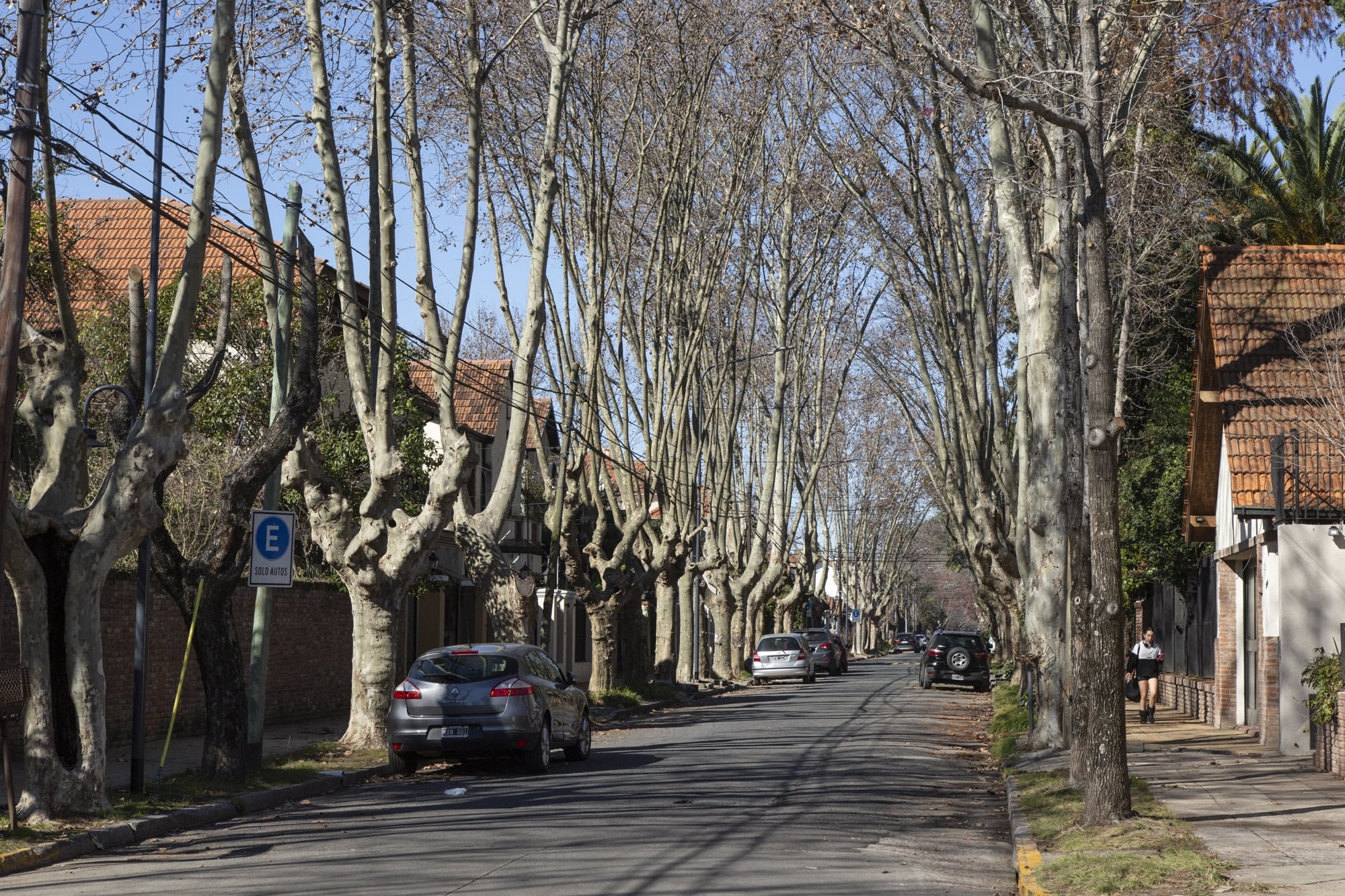 precio-de-los-departamentos:-un-informe-revelo-que-paso-con-las-propiedades-en-zona-norte