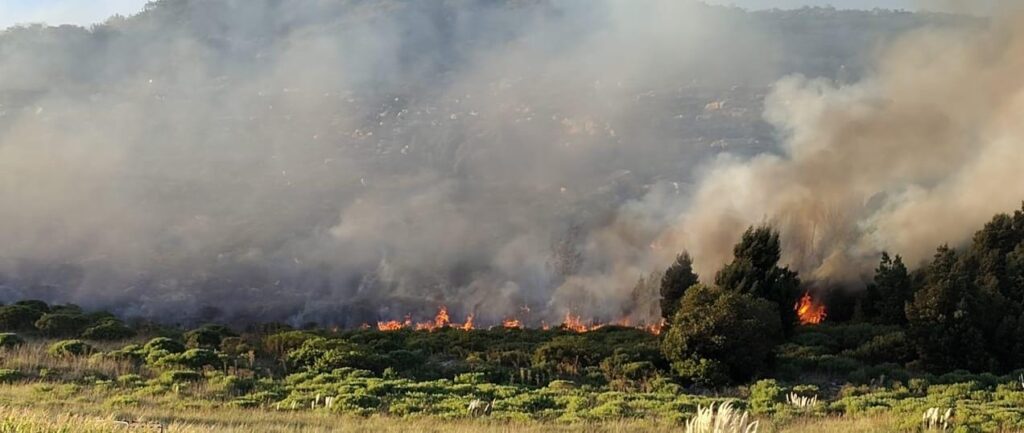 bomberos-de-castelli-colaboran-en-combate-de-incendio-forestal-en-sierra-de-los-padres