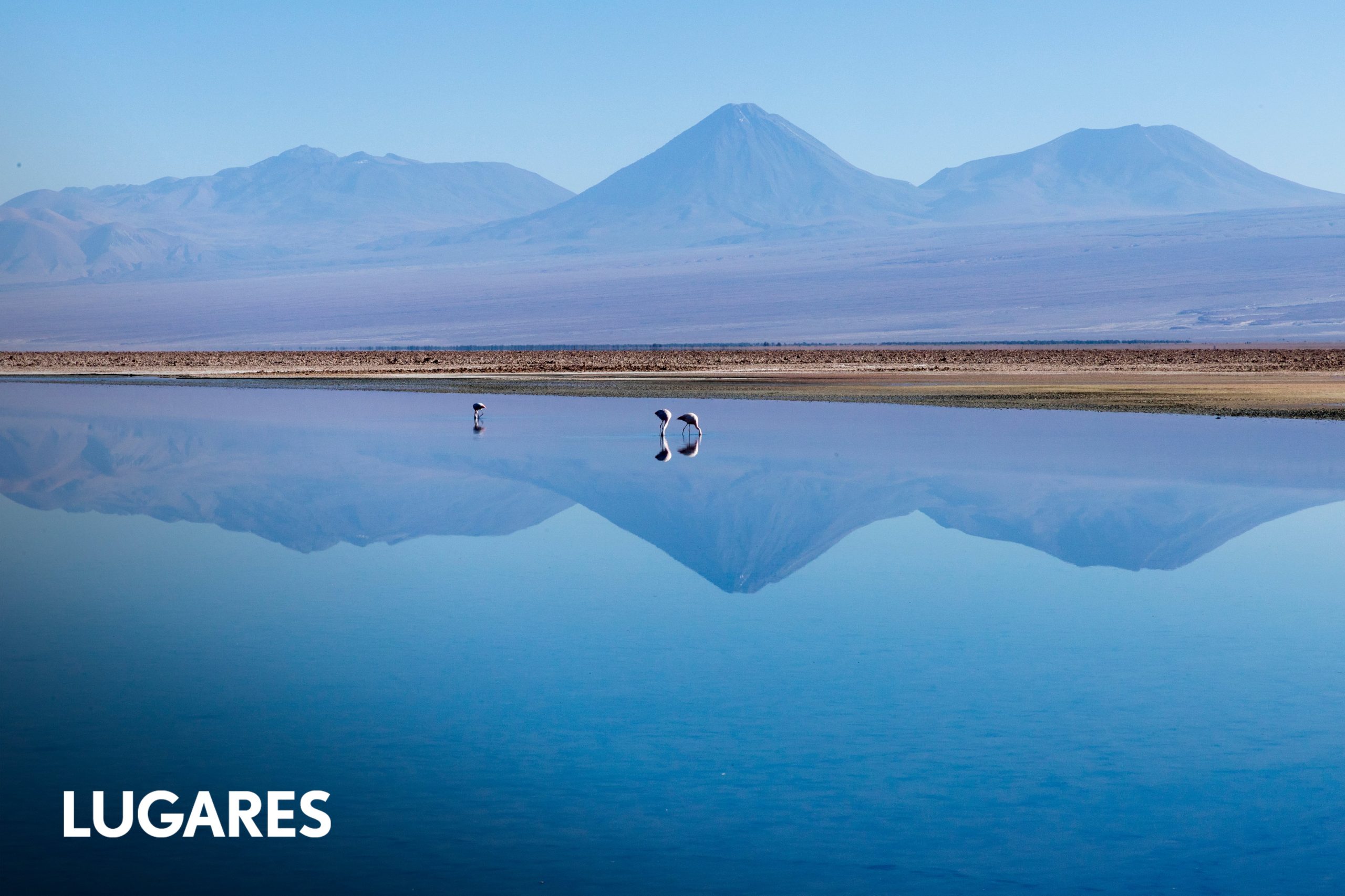 de-jujuy-a-atacama-en-auto:-como-es-cruzar-la-ruta-del-desierto-a-4.200-metros-de-altura