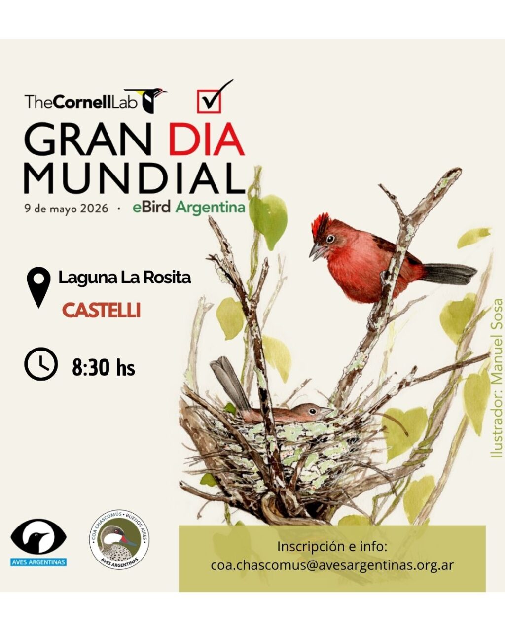 castelli-se-suma-al-gran-dia-mundial-de-observacion-de-aves