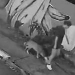 Una joven cayó adentro de una alcantarilla mientras paseaba a su perro en Brasil