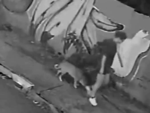 una-joven-cayo-adentro-de-una-alcantarilla-mientras-paseaba-a-su-perro-en-brasil