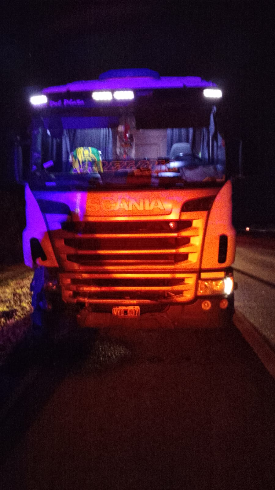 camion-impacto-contra-un-vacuno-en-la-zona-de-guerrero